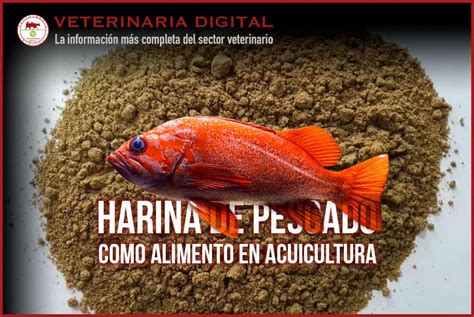 Ilustración de diferentes especies de pescado utilizadas en la producción de harina de pescado y una representación visual de la contaminación por dioxinas