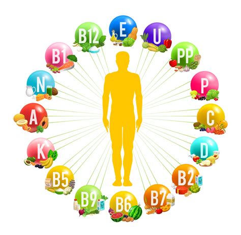 Esquema nutricional del jamón curado, destacando proteínas, vitaminas y minerales