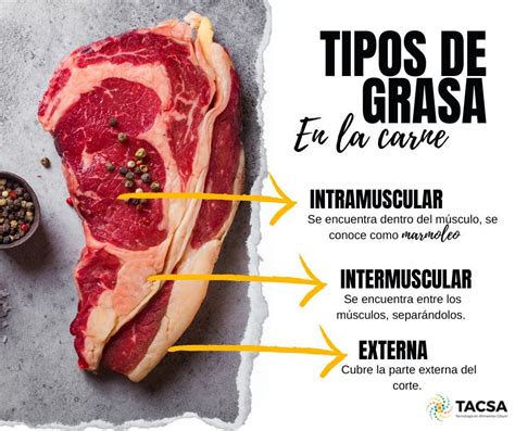 Infografía: Tipos de grasa en el jamón ibérico (intramuscular y de cobertura)
