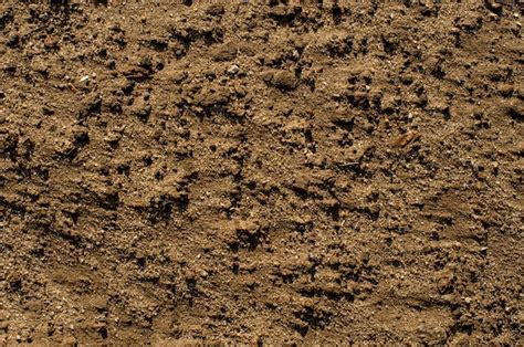 Infografía detallando la textura de arena húmeda al mezclar harina y mantequilla