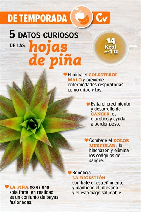 Infografía: beneficios de las hojas y piñas en el acuario