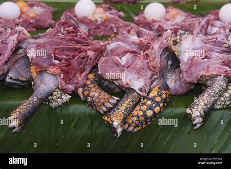 Fotografía de un plato de carne de tortuga preparado