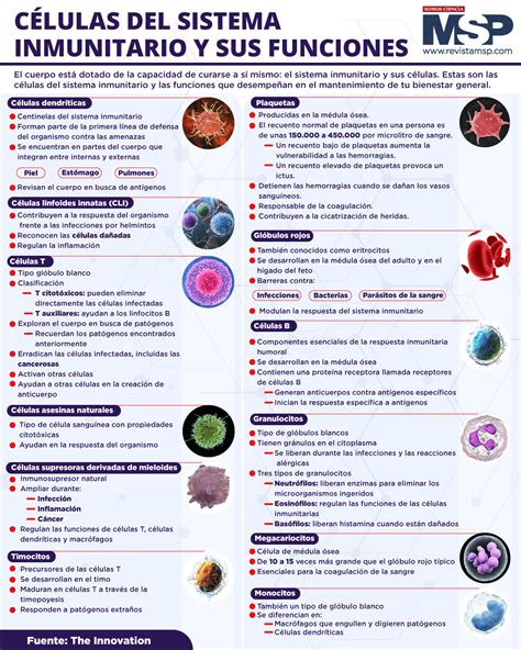 Infografía que detalla los beneficios del Agaricus blazei sobre el sistema inmune y la regulación de la glucosa.