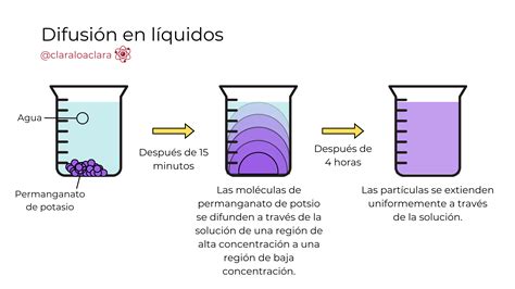diagrama de extracción de sabores en líquidos, difusión molecular o ilustración de partículas de alimentos liberando compuestos en el agua