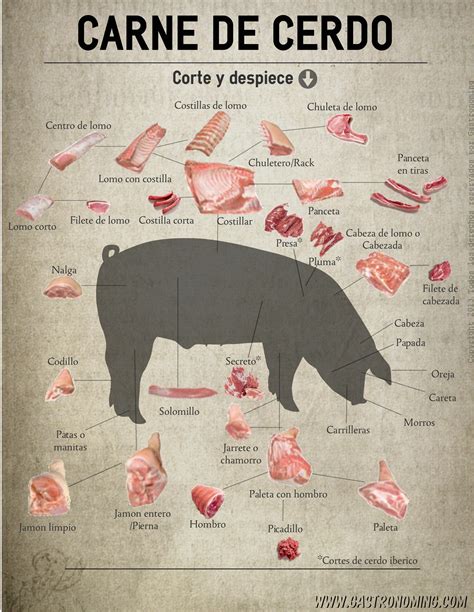 Esquema de los diferentes cortes de carne de cerdo.