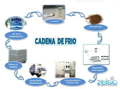 Esquema de la cadena de frío para productos lácteos