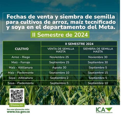 Calendario de siembra ideal del maíz dulce según el clima y la región