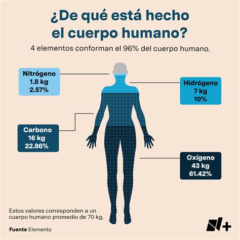 Gráfico: Impacto de la comida extrema en el cuerpo humano