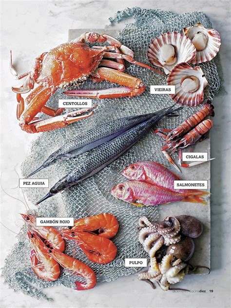 Infografía que muestra la limpieza de los mariscos y el corte de los vegetales en brunoise.