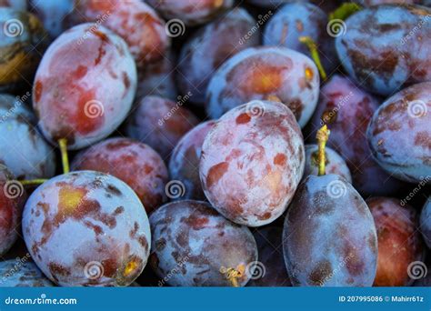 Foto de primer plano de ciruelas Mirabelle frescas