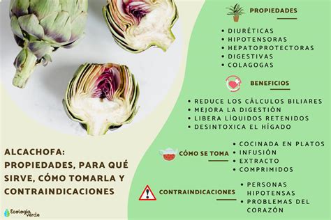 Infografía sobre los beneficios antioxidantes de la alcachofa y su impacto en la salud arterial