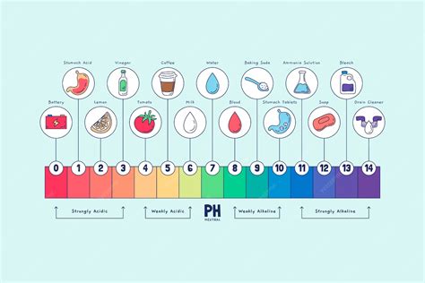 Esquema de la escala de pH con ejemplos de alimentos y su nivel de acidez/alcalinidad