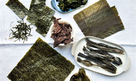 Infografía que muestra los diferentes tipos de algas japonesas (Nori, Arame, Hijiki) con sus texturas y colores característicos