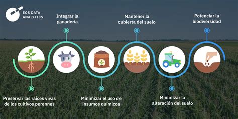 Infografía sobre prácticas de agricultura regenerativa de Crepes & Waffles