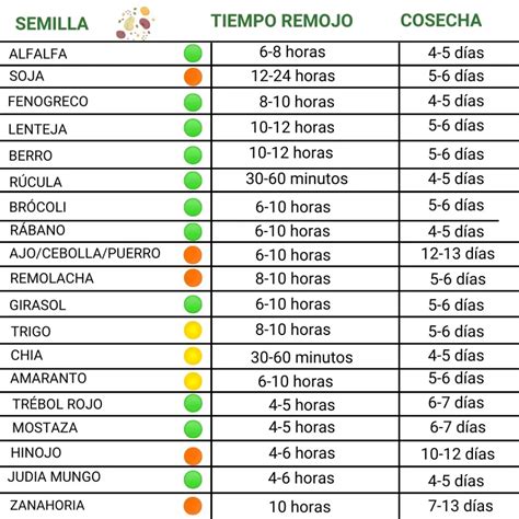 Esquema comparativo de tiempos de remojo según el tipo de lenteja (pardina vs. castellana)