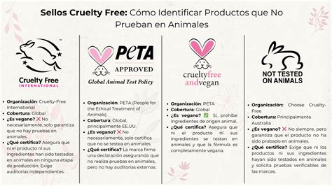 Esquema que detalla los logos de certificación más comunes: Leaping Bunny, PETA y Cruelty Free International.