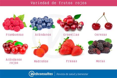 Infografía mostrando la variabilidad de antocianinas entre diferentes variedades de frutos rojos y oscuros