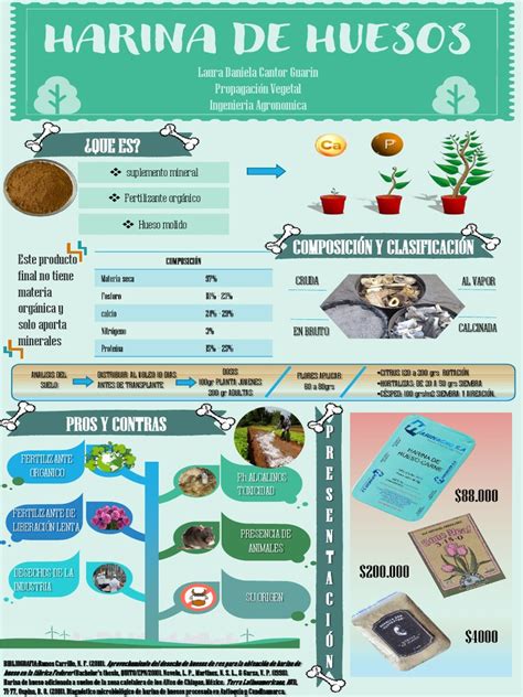 Infografía: Tres métodos de aplicación de harina de hueso en jardín (mezclado con tierra, en hoyo de trasplante, alrededor de plantas establecidas)