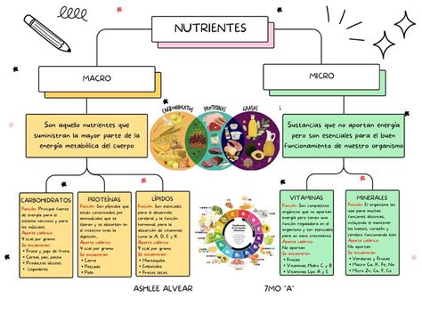 Esquema nutricional del maíz, indicando los macro y micronutrientes esenciales en cada etapa de crecimiento.