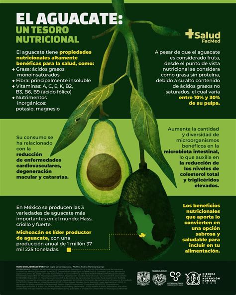Infografía sobre los beneficios del aguacate para la salud