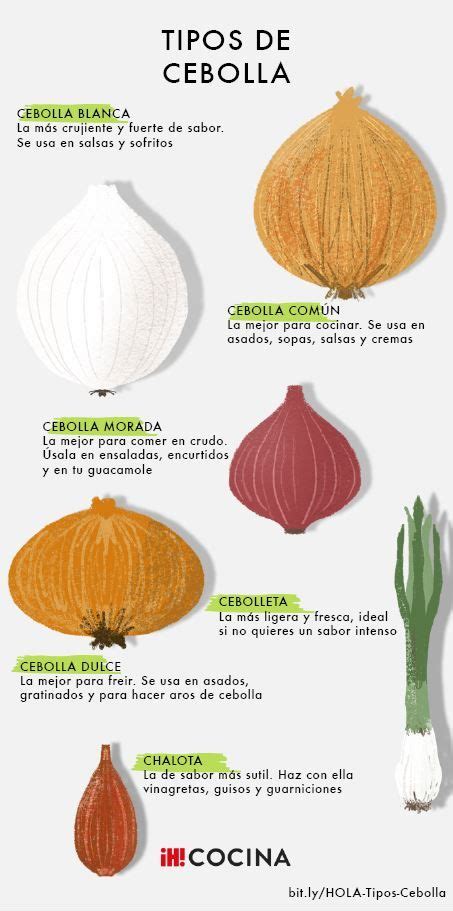 Infografía mostrando la diversidad de tipos de cebolla y sus usos culinarios