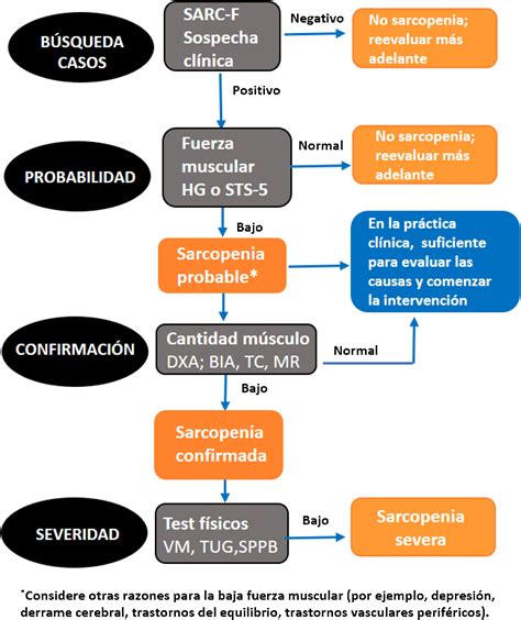 Esquema sobre la relación entre el envejecimiento, la pérdida de masa muscular (sarcopenia) y el riesgo de desnutrición en pacientes dependientes.