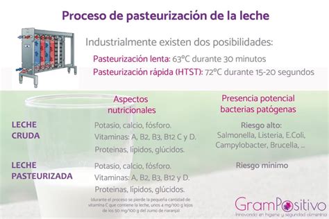 Ilustración mostrando el proceso de pasteurización y pérdida de probióticos