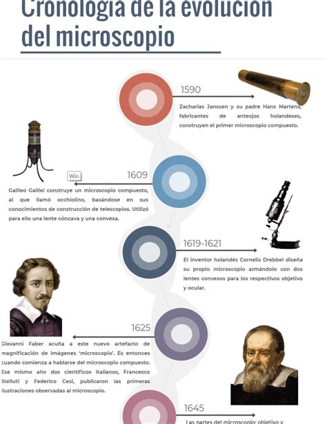 Ilustración histórica que muestra la evolución del gorro de chef desde el siglo XIX hasta los diseños modernos
