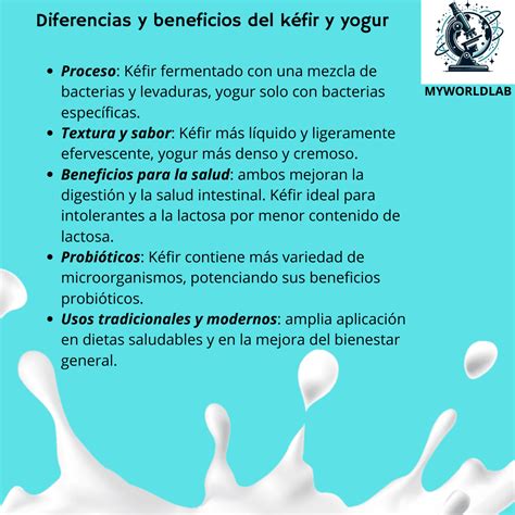 Infografía comparativa: kéfir vs. yogur, destacando la diversidad de probióticos y la capacidad de colonización intestinal del kéfir.