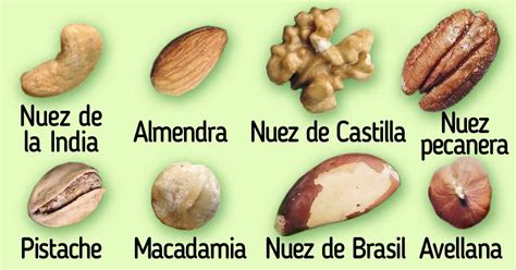 Fotografía comparativa de las variedades de nueces más comunes y sus características de cáscara.