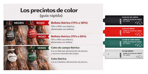 Infografía detallando los 4 precintos (negro, rojo, verde, blanco) del jamón ibérico con sus características principales.