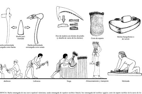 Esquema histórico de la evolución del queso: desde los métodos neolíticos hasta las técnicas romanas de prensado en encellas.