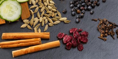 Infografía detallando los ingredientes principales y botánicos del vermut.