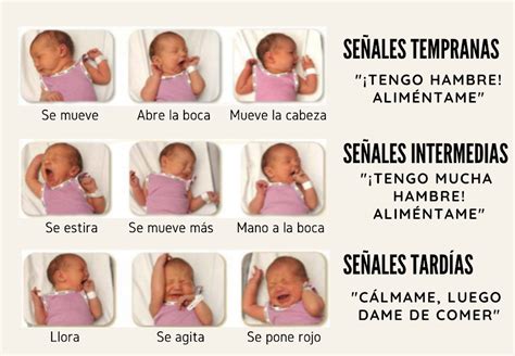 Bebé de 3 meses siendo alimentado, con enfoque en las señales de hambre.