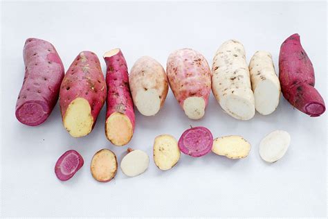 Variedad de camotes de diferentes colores y formas.