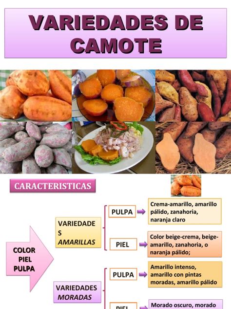 Tabla comparativa de las variedades de camote, destacando color, sabor y usos culinarios.