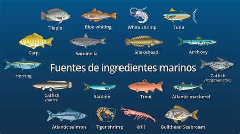 Ilustración de diferentes tipos de pescado marino donde se encuentra el Anisakis