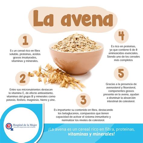 Infografía: Beneficios nutricionales de la avena