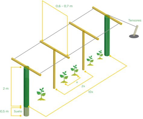 Diagrama de sistemas de tutorado para porotos: tipo carpa de indio y barraca