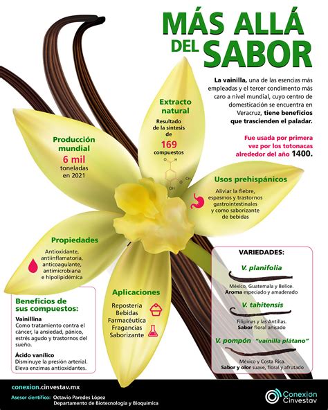 Infografía: Beneficios de la vainilla y la vanilina en la salud