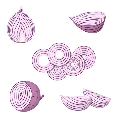 Ilustración de una cebolla cortada junto a remedios naturales tradicionales