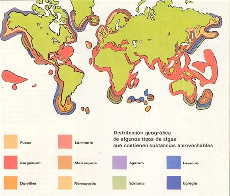 Mapa: Distribución global de las principales algas marinas comestibles