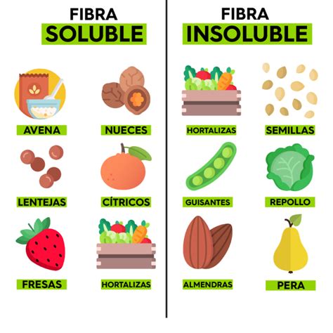 infografía sobre alimentos ricos en fibra soluble e insoluble