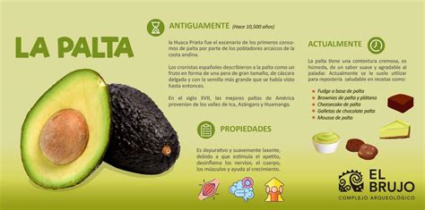 Infografía nutricional de los componentes de la palta