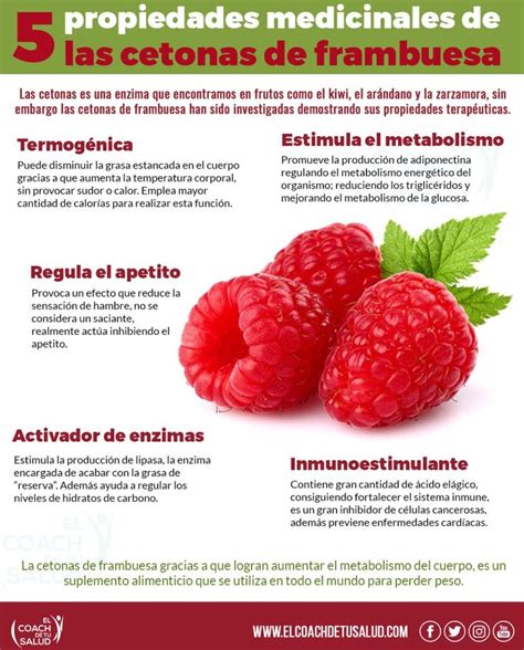 infografía sobre los beneficios de las cetonas de frambuesa