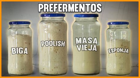 Esquema comparativo: Biga (masa firme y seca) vs. Poolish (prefermento líquido) vs. Masa madre (fermento natural)