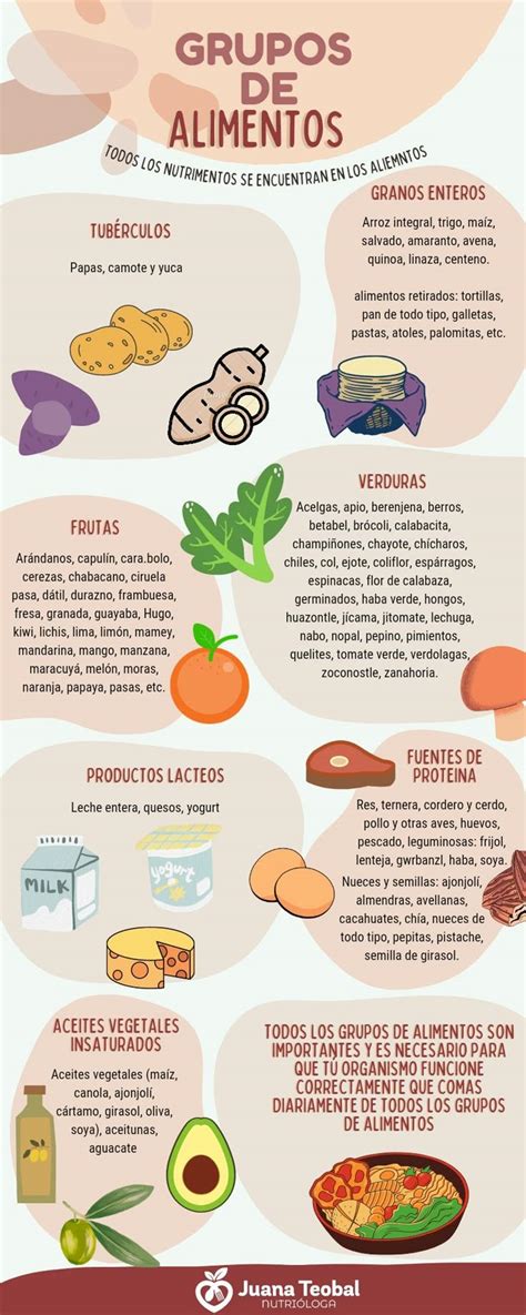 infografía sobre los grupos de alimentos esenciales para niños (frutas, verduras, proteínas, granos y lácteos)