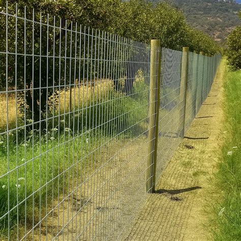 Esquema comparativo: cerco de malla vs. cerco vivo tupido para privacidad