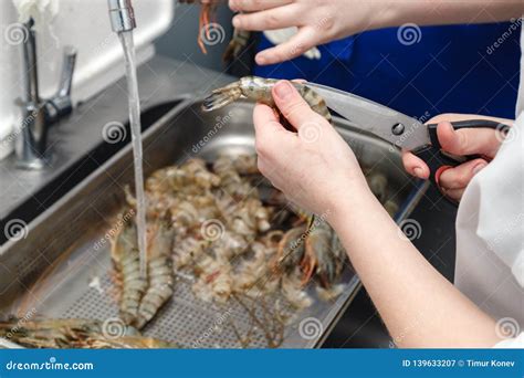 Esquema de selección y limpieza de camarones frescos para preparaciones gourmet