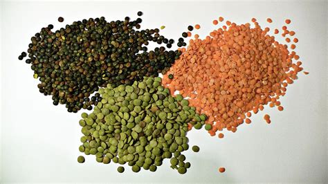 Collage o ilustración de diferentes tipos de lentejas (pardina, roja, verde, beluga)